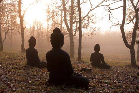3 buddhas in woods