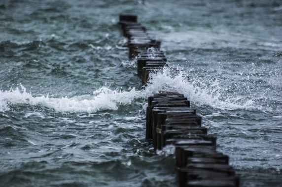 logs surrounded by body of water during daytime